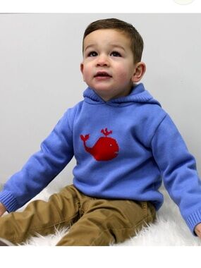 NWOT Smocked Whale Blue Hooded Sweater